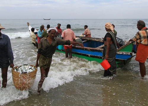 South India Unleashed