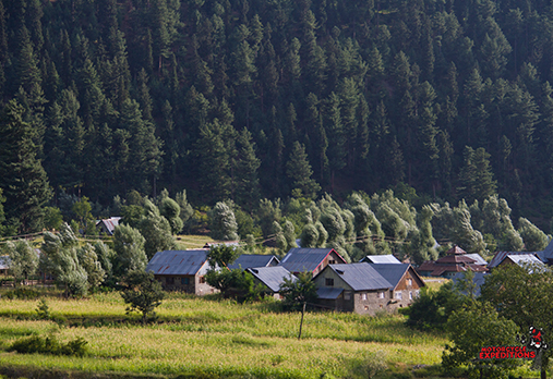 Beste aus Pakistan und Indien