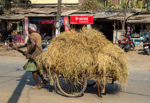 Motorcycle tour in North East India, Tezpur
